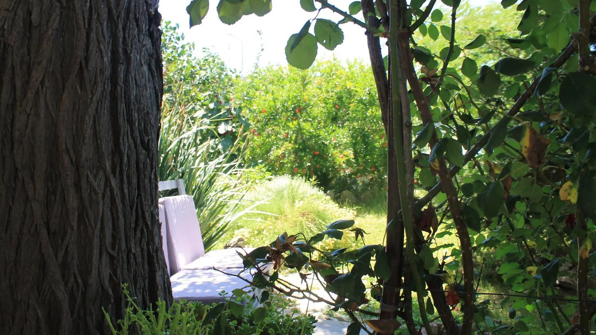Apartments 501 - Rab Island Oasis Retreat Supetarska Draga
