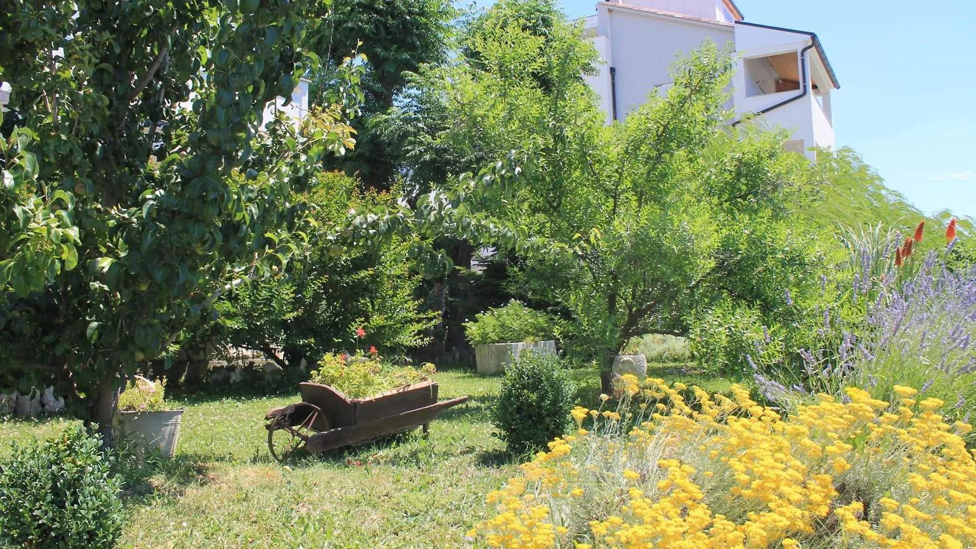 Apartments 501 - Rab Island Oasis Retreat Supetarska Draga