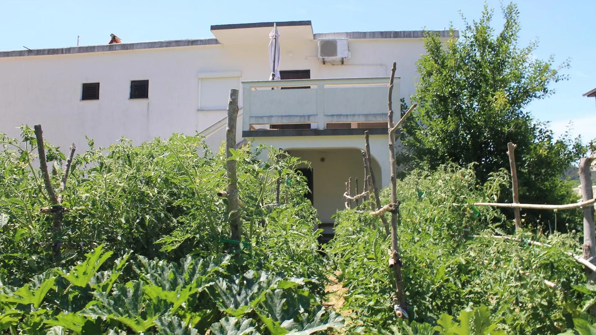 Apartments 501 - Rab Island Oasis Retreat Supetarska Draga