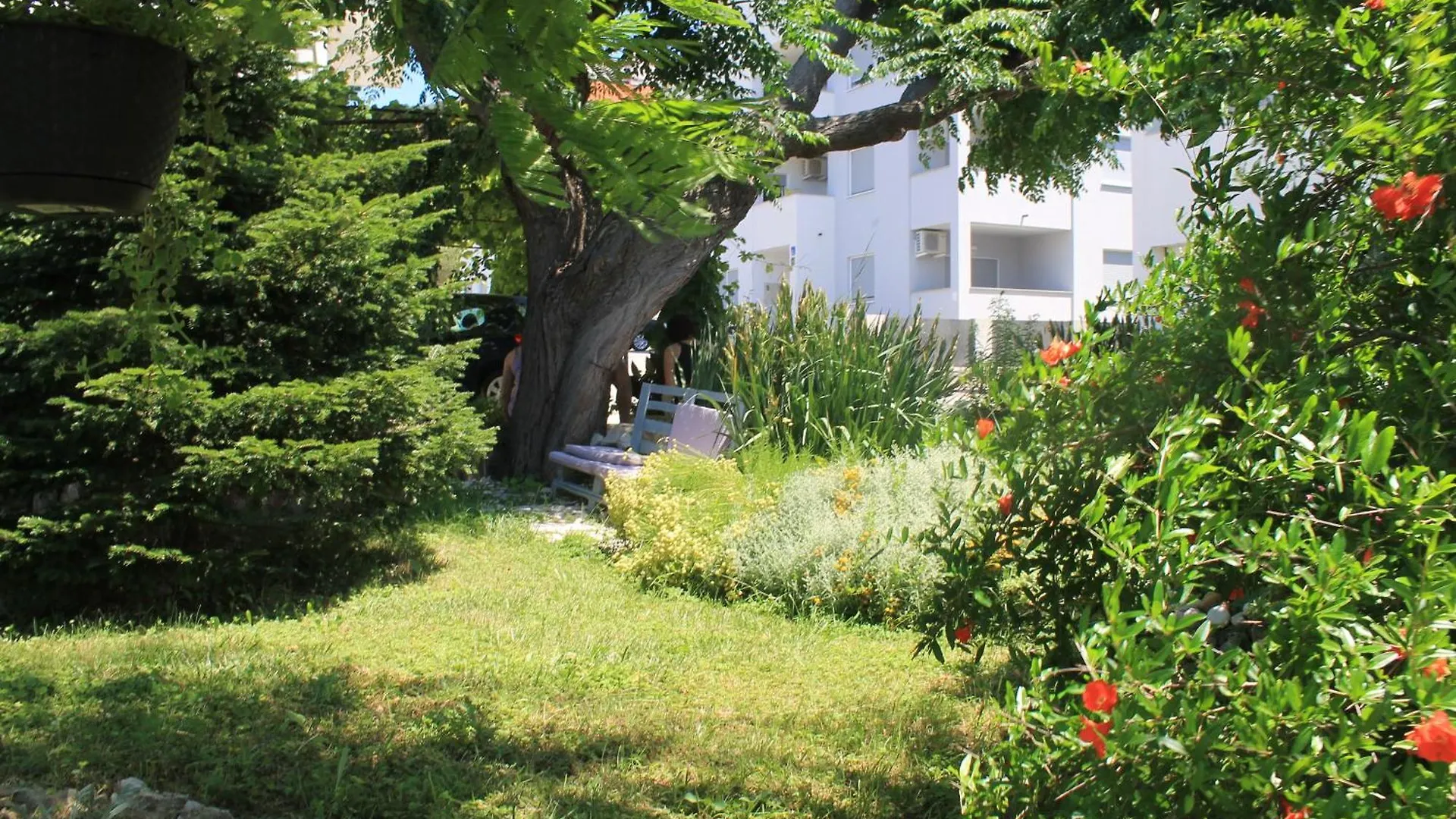 Apartments 501 - Rab Island Oasis Retreat Supetarska Draga