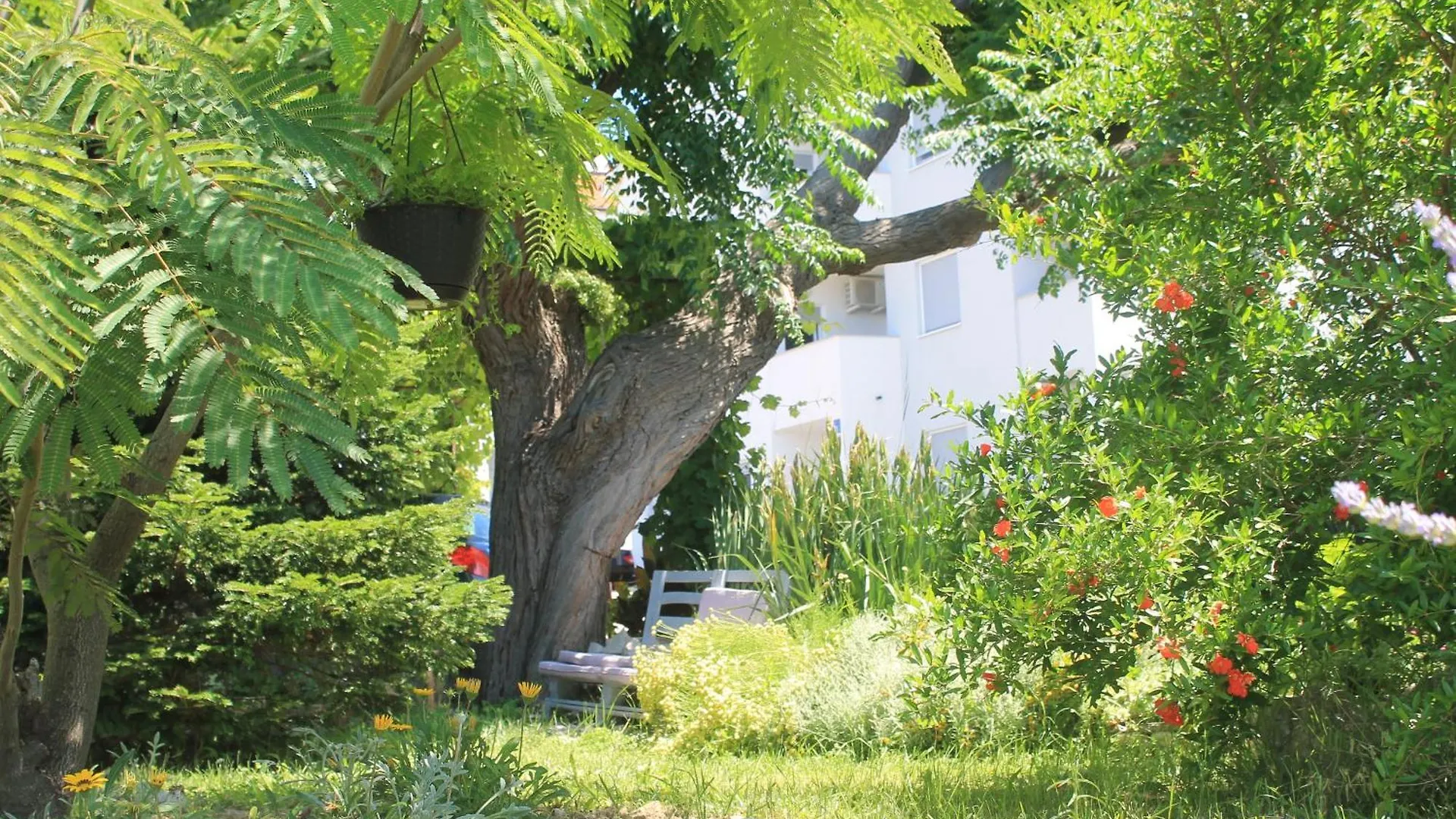 Apartments 501 - Rab Island Oasis Retreat Supetarska Draga 0*,  Croatia