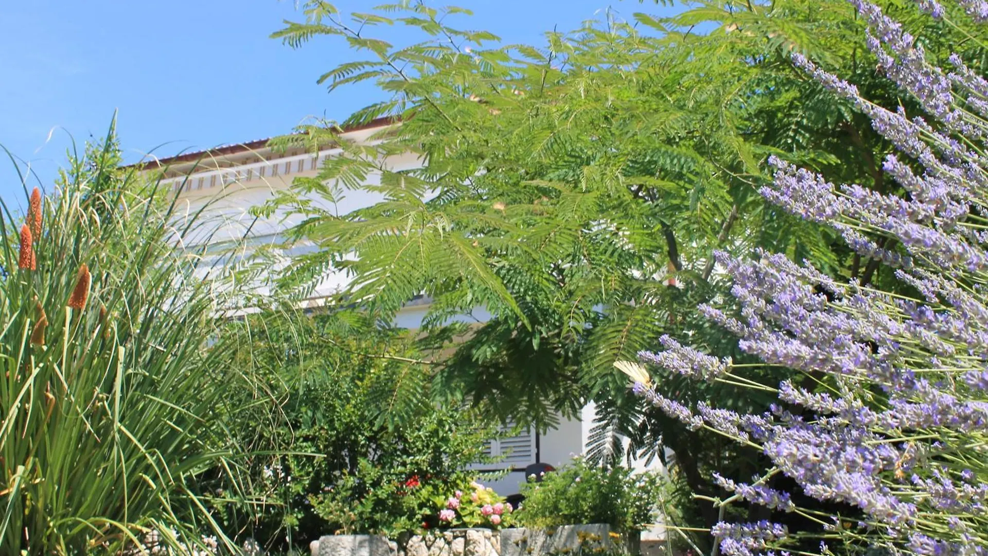 Apartments 501 - Rab Island Oasis Retreat Supetarska Draga Croatia
