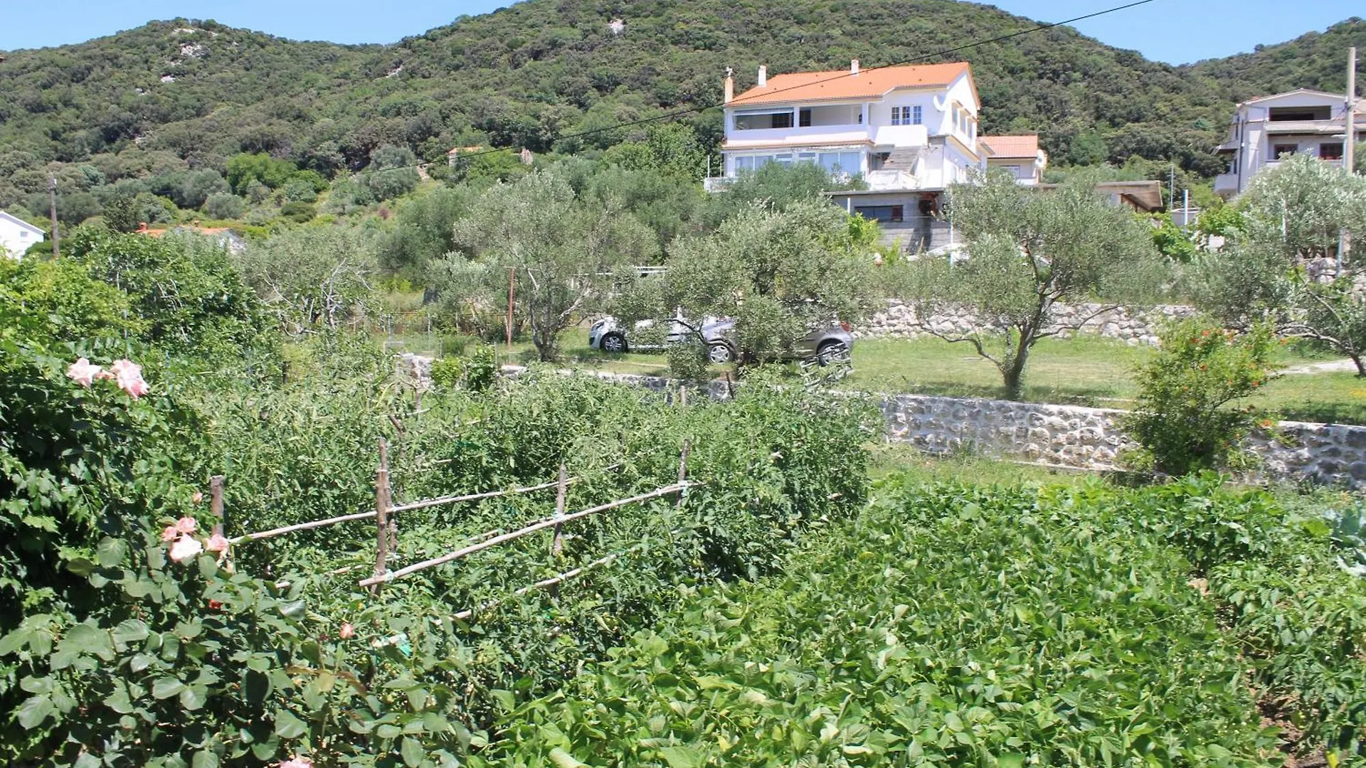 Apartments 501 - Rab Island Oasis Retreat Supetarska Draga