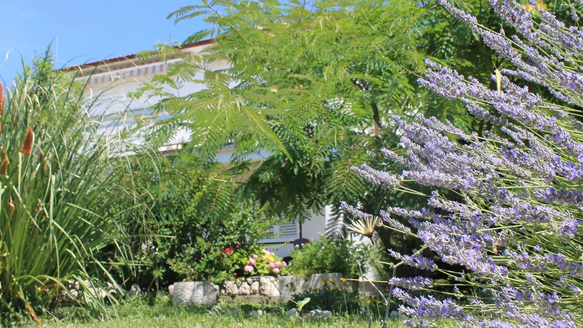 Apartments 501 - Rab Island Oasis Retreat Supetarska Draga