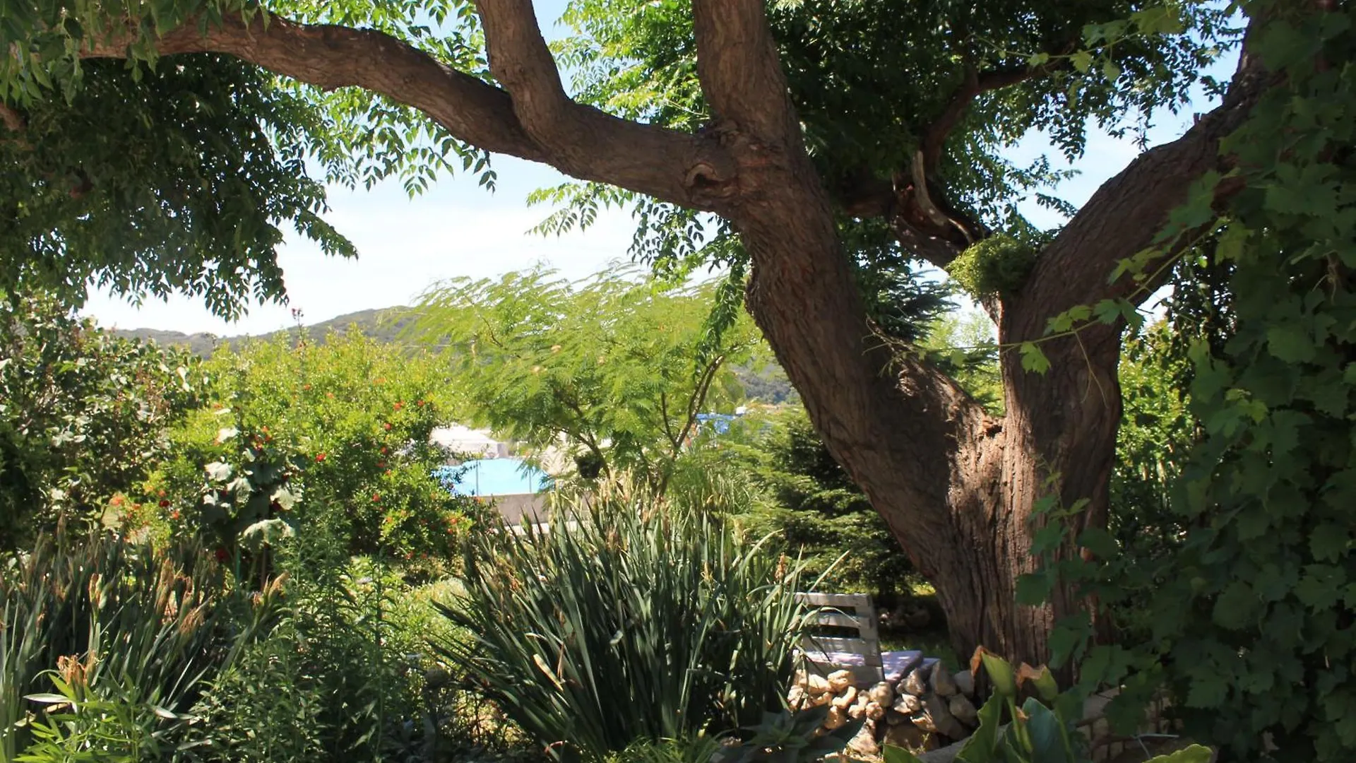 Apartments 501 - Rab Island Oasis Retreat Supetarska Draga 0*,  Croatia