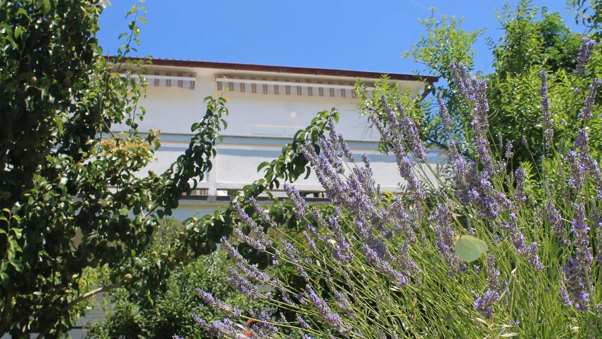 Apartments 501 - Rab Island Oasis Retreat Supetarska Draga Croatia