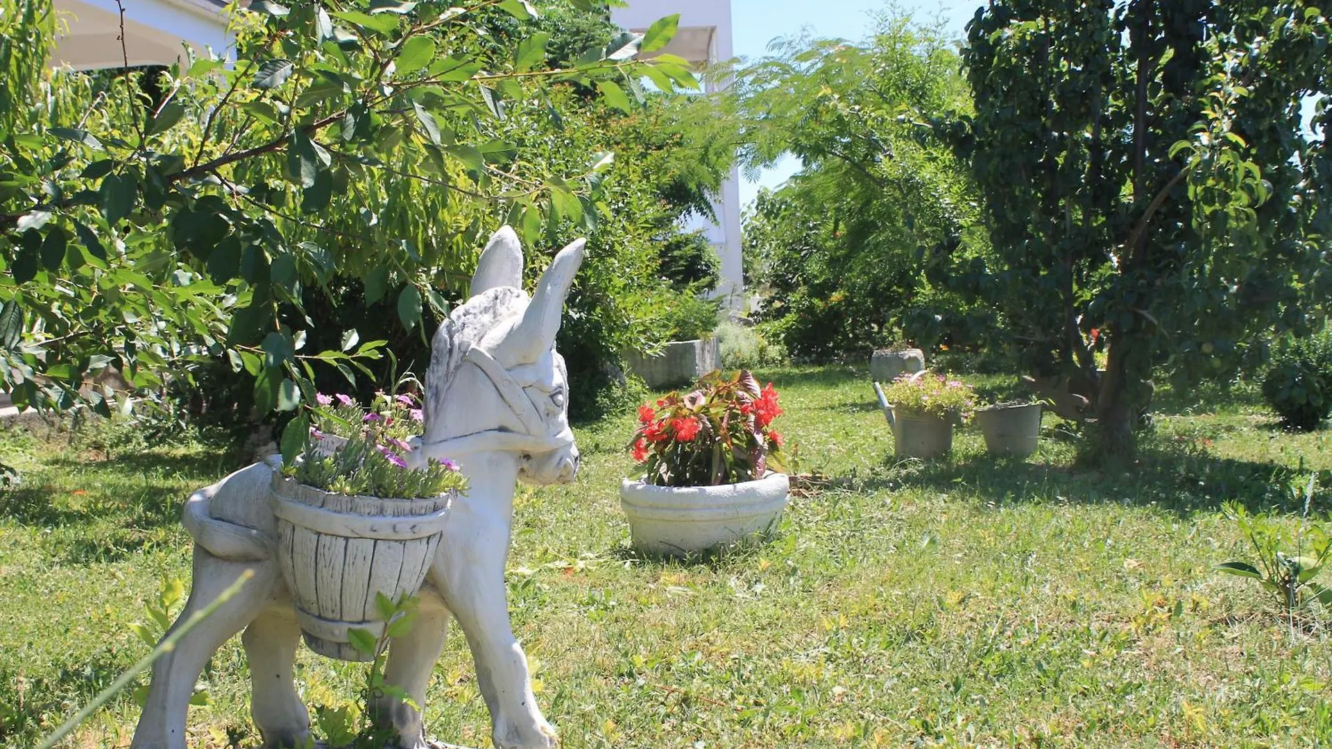 Apartments 501 - Rab Island Oasis Retreat Supetarska Draga