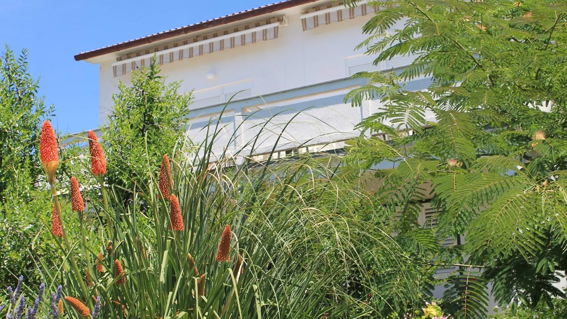 Apartments 501 - Rab Island Oasis Retreat Supetarska Draga 0*,