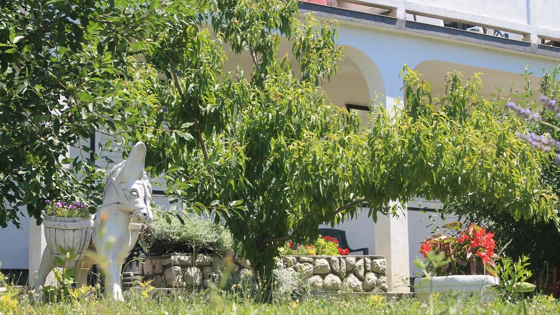 Apartments 501 - Rab Island Oasis Retreat Supetarska Draga